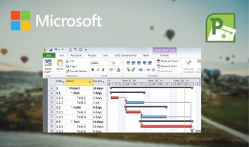 Project Professional 2010 Increased flexibility of use