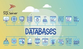 SQL Server Standard 2016 - Device CALs JSON Support