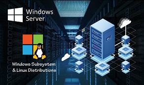 Windows Server 2019 DataCenter Windows subsystem and Linux distributions