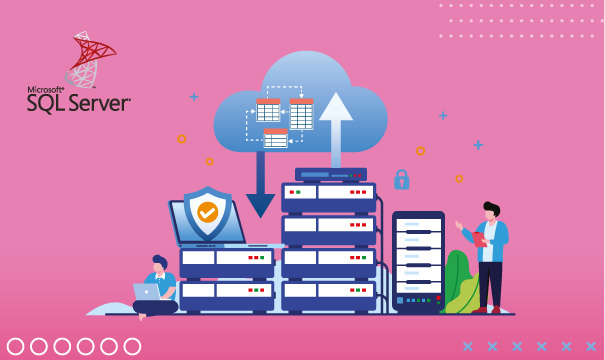 SQL Server 2012 Standard - User Cals Improved content support