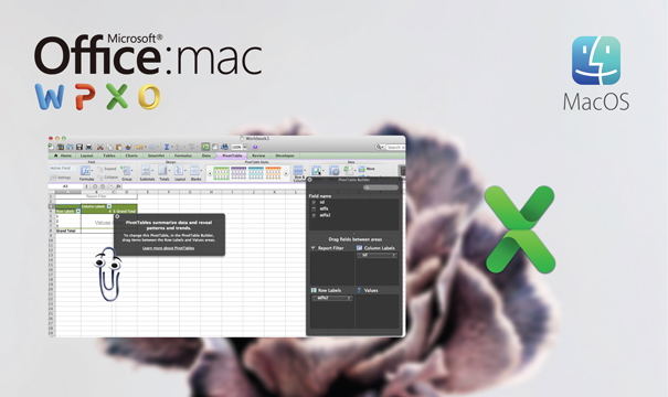 Office 2011 Home and Student for Mac  Microsoft Excel 2011 for Mac