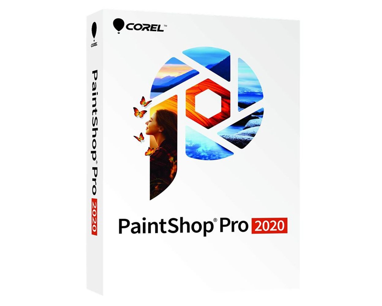 paint shop pro 2020 pop ups off