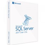 SQL Server 2017 Standard - User CALs