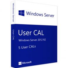 Windows Server 2012 R2 - 5 User CALs, Client Access Licenses: 5  CALs, image 