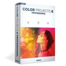 COLOR Projects Professional 6