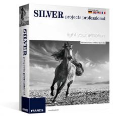 Silver projects professionnel