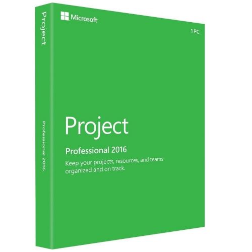 Project Professional 2016