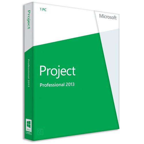 Project Professional 2013