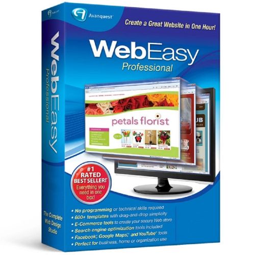 WebEasy Professional 10, English
